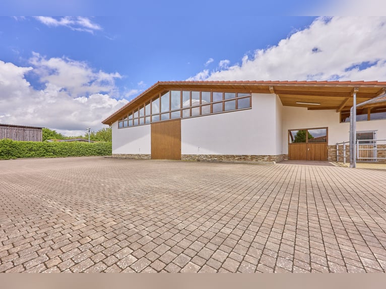 Luxuriöse Villa mit Reitanlage in der Nähe von Fulda in Hessen – Wellness, Reitsport & Lebensgefühl