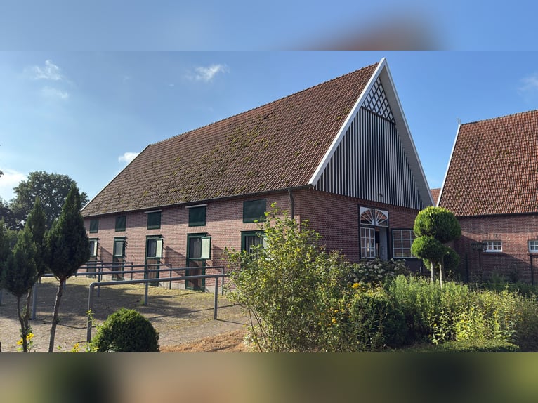 Luxuriöser Resthof mit Gästehaus, großer Scheune und Pferdestall