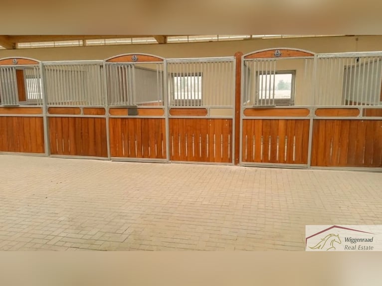 **Luxuriöses Pferdeanwesen in bester Lage** - Schweiz