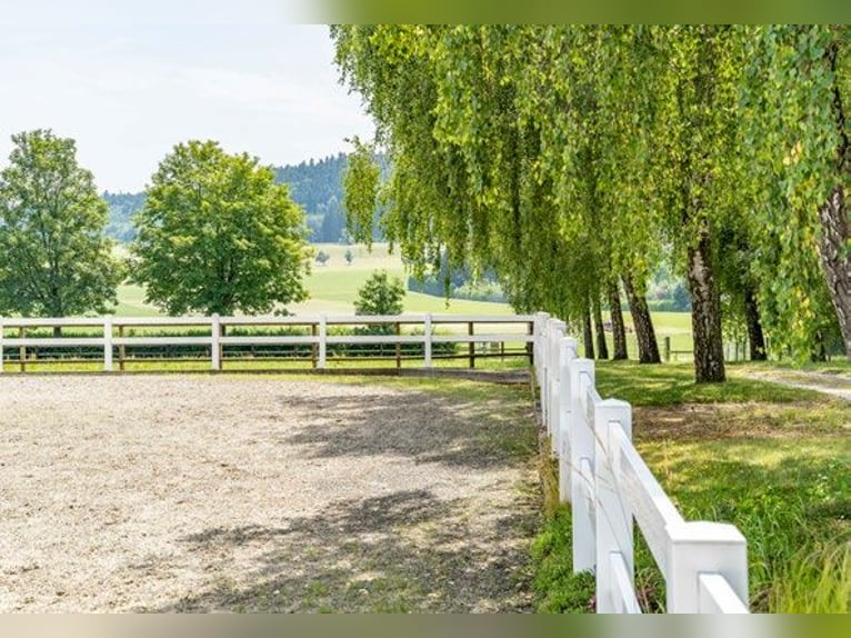 **Luxuriöses Pferdeanwesen in bester Lage** - Schweiz