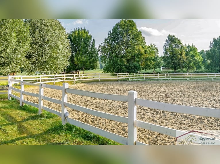 **Luxuriöses Pferdeanwesen in bester Lage** - Schweiz