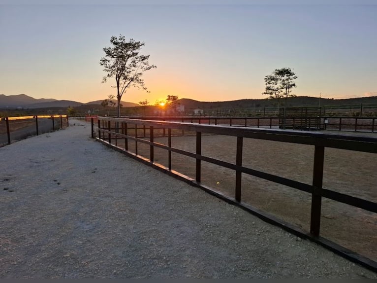 LUXURY EQUESTRIAN ESTATE WITH LUXURY LANDHOUSE
