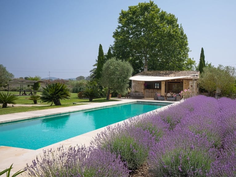 Mallorca - Finca mit Möglichkeit zur Pferdehaltung und tollem Ausreitgebiet