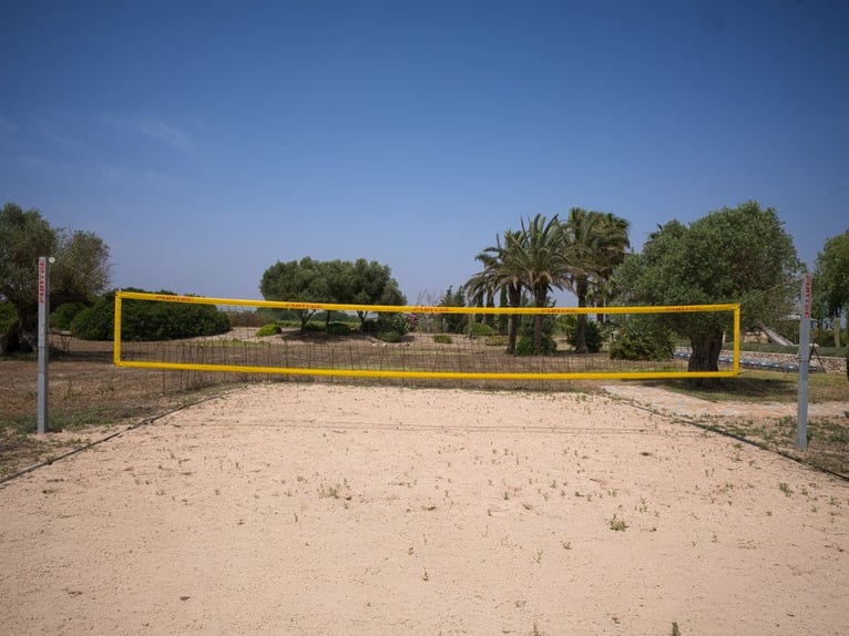 Mallorca - Finca mit Möglichkeit zur Pferdehaltung und tollem Ausreitgebiet