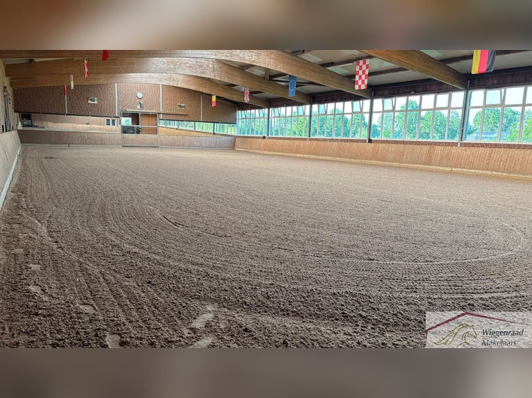 Moderne, Profi Reitanlage mit Privatspäre nähe Deutschland, NL