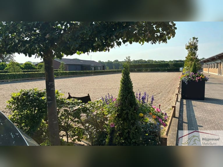 Moderne, Profi Reitanlage mit Privatspäre nähe Deutschland, NL