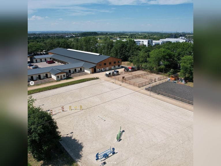 Moderne und rentable Reitanlage im Einzugsgebiet Bonn/Köln mit hochwertigem Wohnhaus