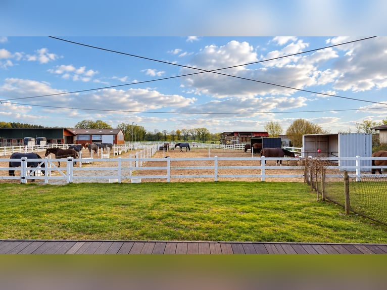 Modernes Reitanwesen auf 3,4 ha – Reithalle, 13 Boxen, Solekammer & 2 Reitplätze