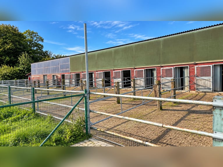 Modernes Reitanwesen auf 3,4 ha – Reithalle, 13 Boxen, Solekammer & 2 Reitplätze