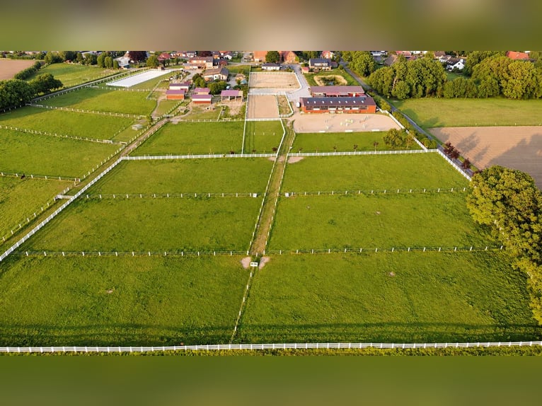 Modernes Reitanwesen auf 3,4 ha – Reithalle, 13 Boxen, Solekammer & 2 Reitplätze