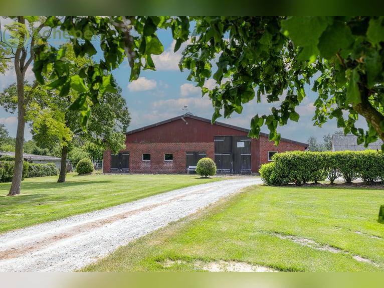 Modernisierter Resthof in Belum-Kehdingbruch mit Grünland und optional 28 ha Ackerland