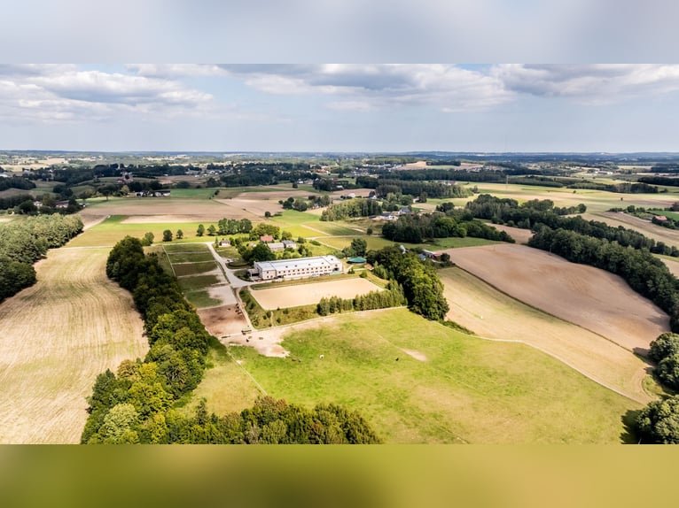 Ośrodek Jeździecki pod Gdańskiem