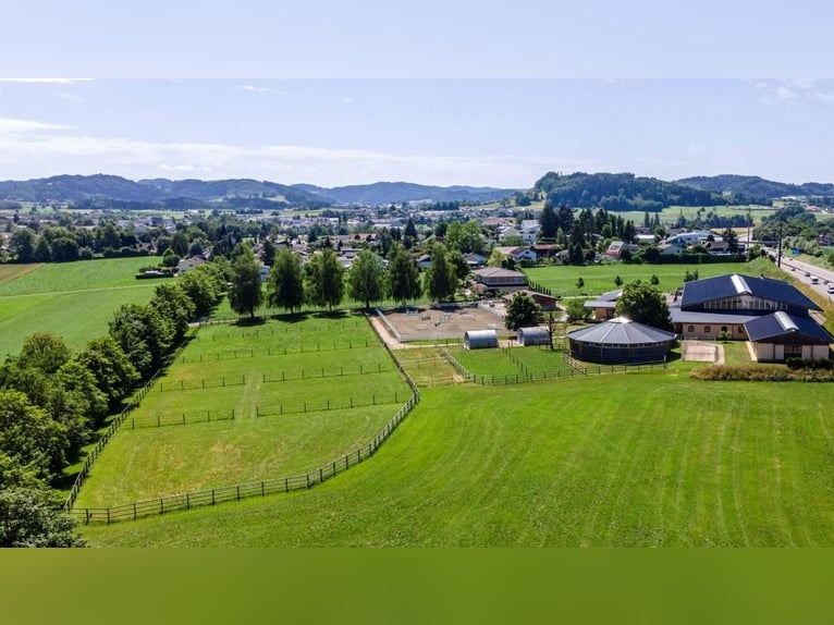 Ostschweiz - Exklusive Reitsportanlage mit mediterraner Villa und weitläufigem Land