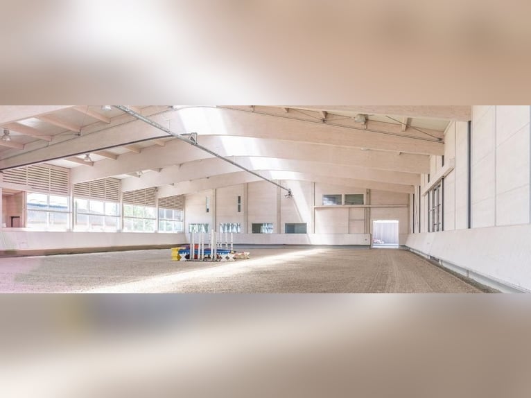 Ostschweiz - Exklusive Reitsportanlage mit mediterraner Villa und weitläufigem Land