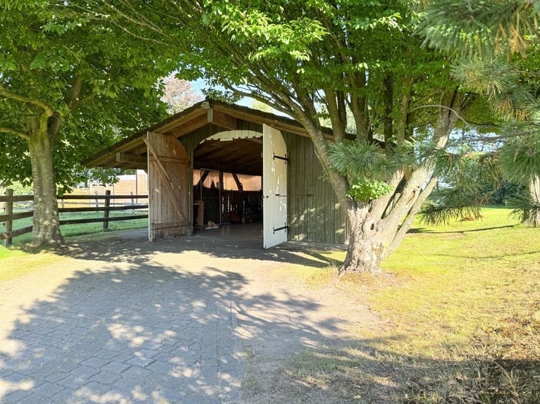 Paradies für Pferdeliebhaber: Reetdachanwesen auf ca. 3,38 ha großen Grundstück mit Nebengebäuden