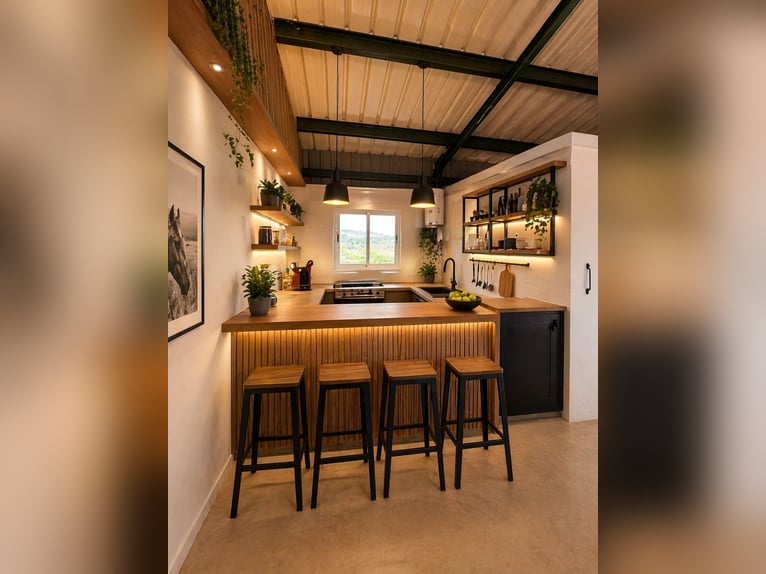 Pferdegestüt in Valencia