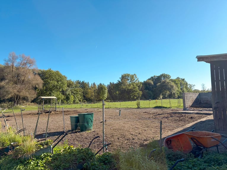Pferdehaltung auf ca. 1,7 ha Eigenland vor den Toren Münchens