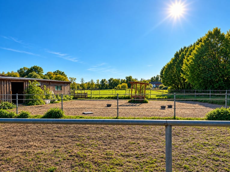 Pferdehaltung auf ca. 1,7 ha Eigenland vor den Toren Münchens