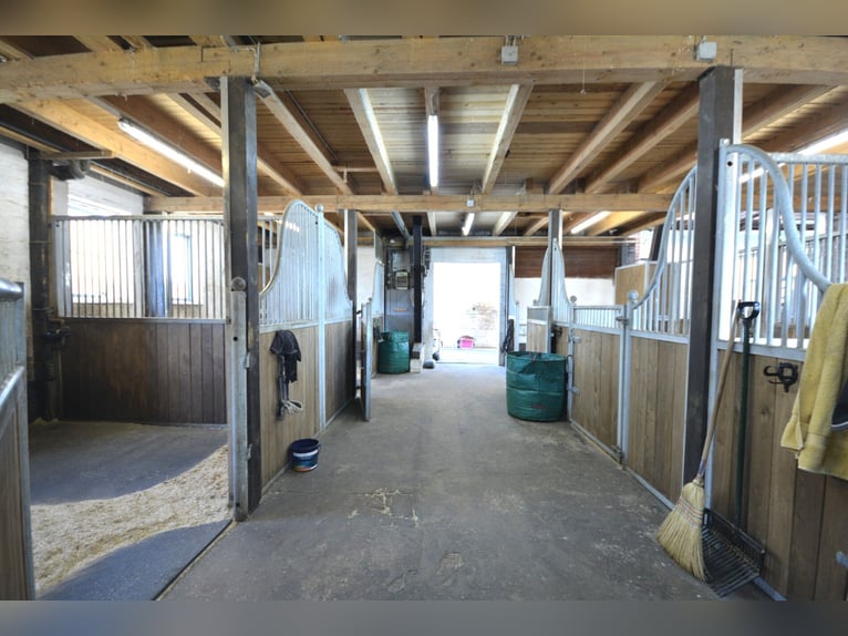 Pferdehof auf 5,7 ha! Traumhaftes Anwesen mit Reetdachhaus, Gästehaus & Stall i.d. Lüneburger Heide