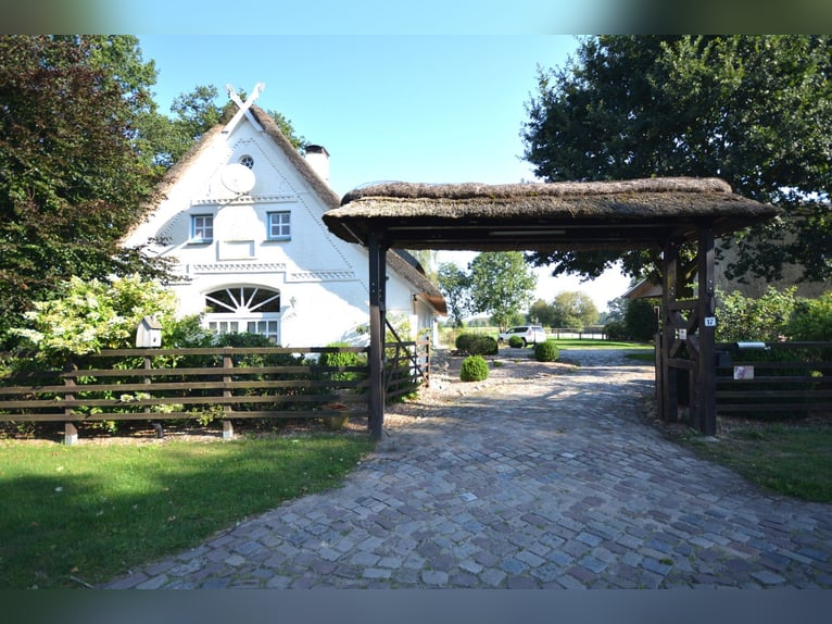 Pferdehof auf 5,7 ha! Traumhaftes Anwesen mit Reetdachhaus, Gästehaus & Stall i.d. Lüneburger Heide
