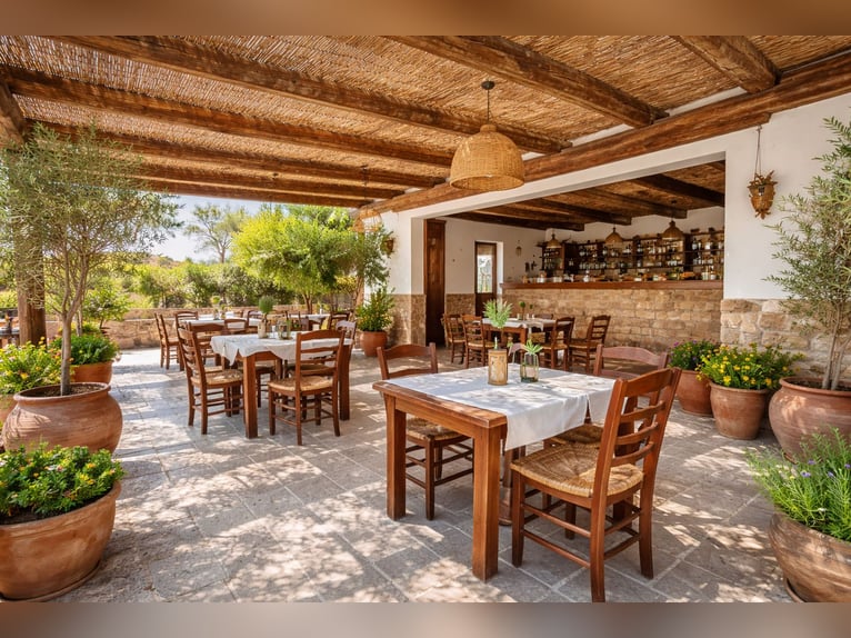 Pferdehof in La Marina, Alicante, in der Nähe von (Met)