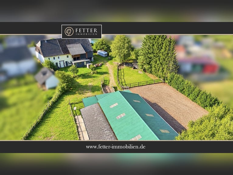 Pferdehof in Rheinland-Pfalz mit 8 Pferdeboxen und kleiner Halle in Niederhambach!