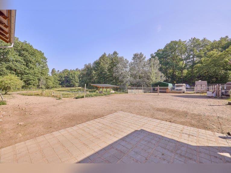 Pferdehof kaufen in Enkenbach-Alsenborn – mit neuwertigem Wohnhaus in idyllischer Lage