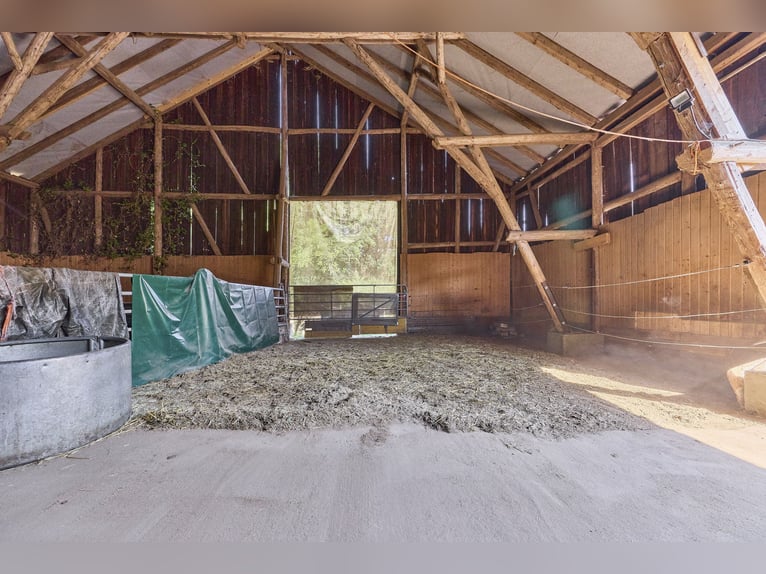Pferdehof kaufen in Enkenbach-Alsenborn – mit neuwertigem Wohnhaus in idyllischer Lage