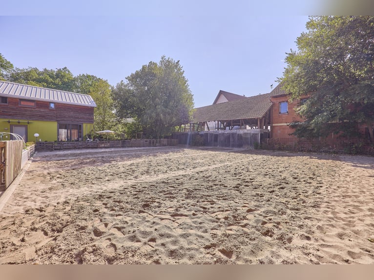 Pferdehof kaufen in Enkenbach-Alsenborn – mit neuwertigem Wohnhaus in idyllischer Lage