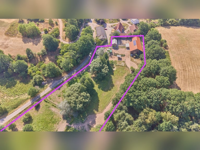 Pferdehof kaufen in Enkenbach-Alsenborn – mit neuwertigem Wohnhaus in idyllischer Lage