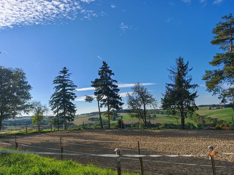 Pferdehof -Landwirtschaft östlich von München