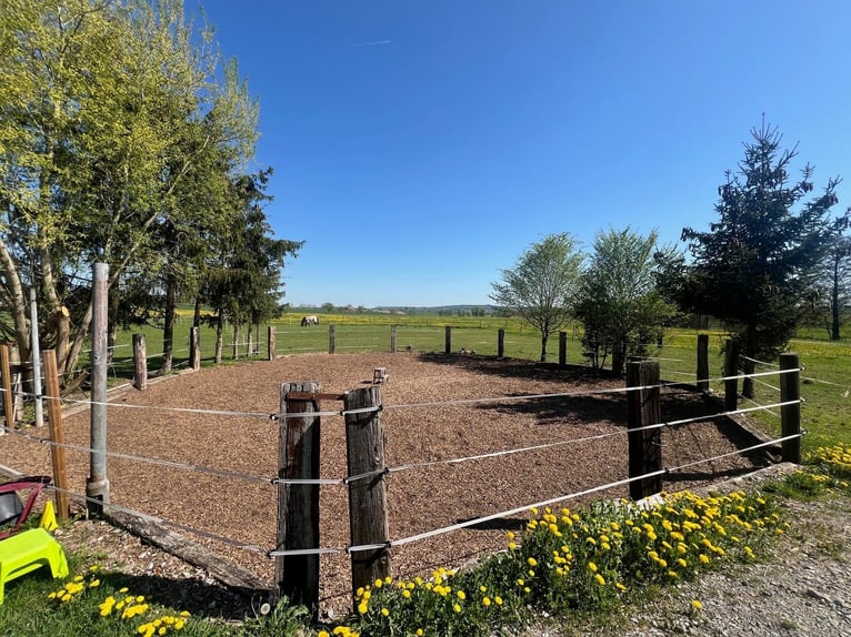 Pferdeparadies - romantischer Reiterhof mit Reithalle, 6 Boxen & Wohnhaus