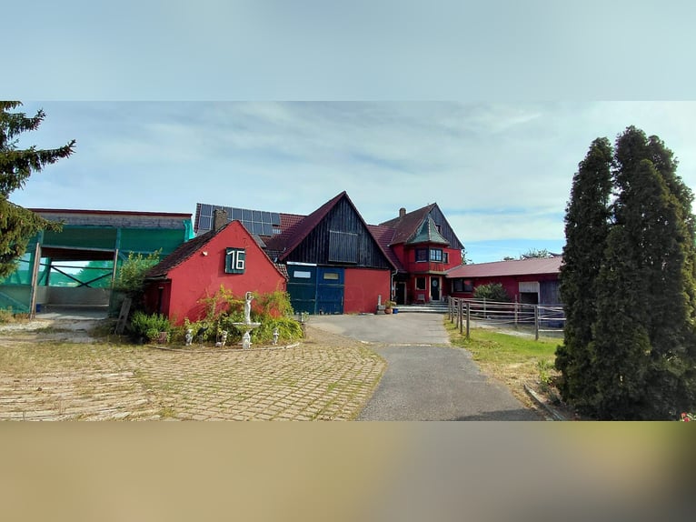 Pferdeparadies - romantischer Reiterhof mit Reithalle, 6 Boxen & Wohnhaus