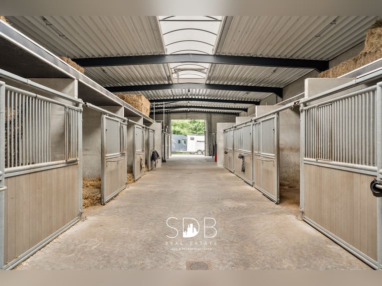 Prachtige villa met hippische accommodatie en graslanden op +/- 23hectare - 9800 DEINZE