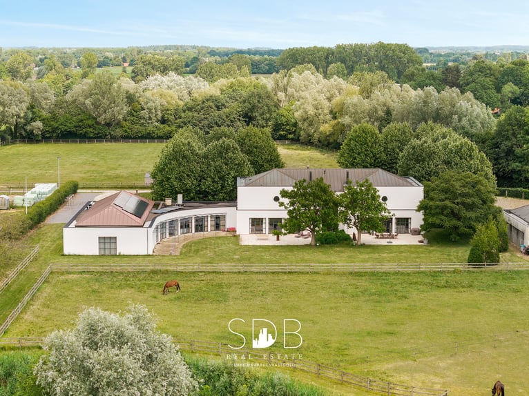 Prachtige villa met hippische accommodatie en graslanden op +/- 23hectare - 9800 DEINZE