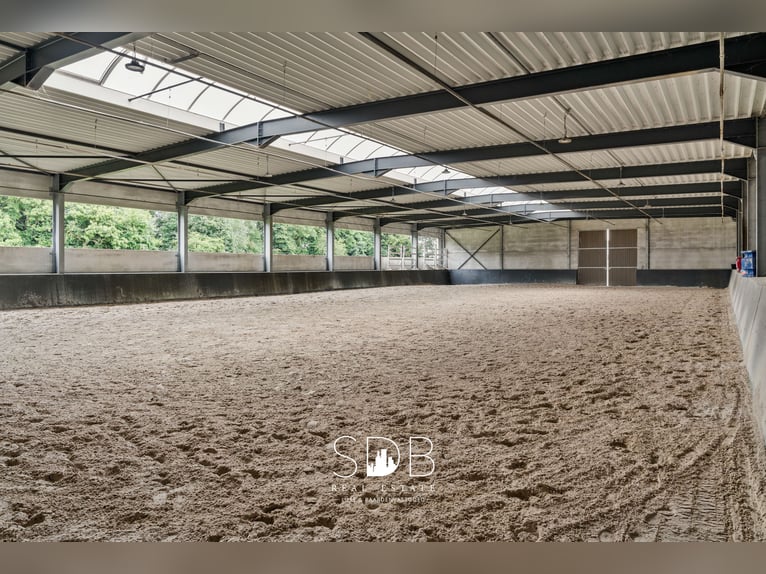 Prachtige villa met hippische accommodatie en graslanden op +/- 23hectare - 9800 DEINZE