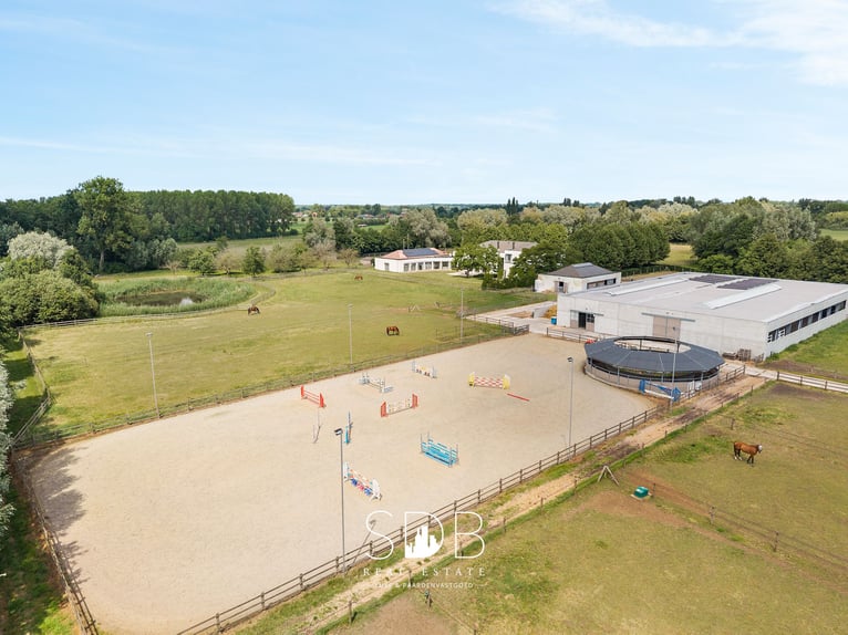 Prachtige villa met hippische accommodatie en graslanden op +/- 23hectare - 9800 DEINZE