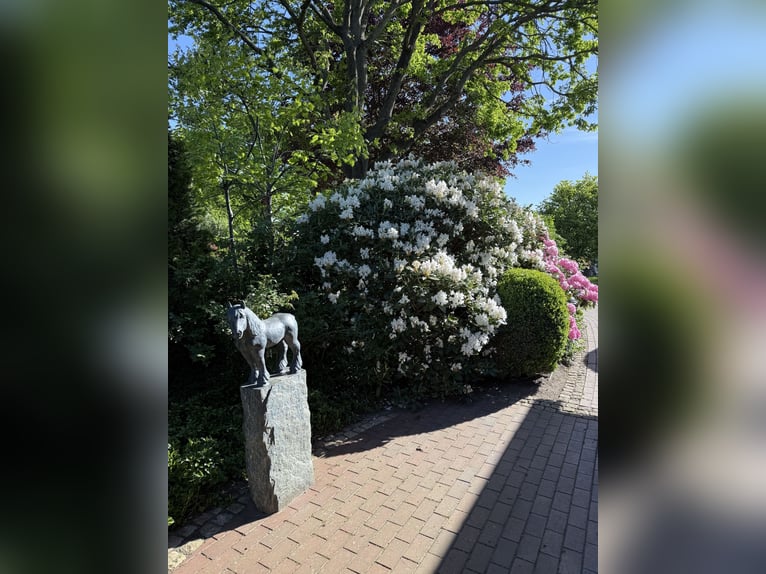 Preissenkung! Landhaus für Pferdeliebhaber mit traumhaftem Blick