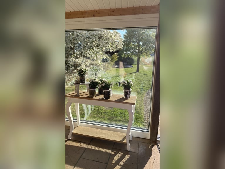 Preissenkung! Landhaus für Pferdeliebhaber mit traumhaftem Blick