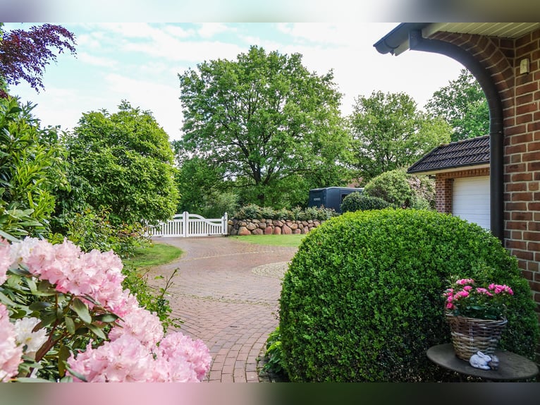 Preissenkung! Landhaus für Pferdeliebhaber mit traumhaftem Blick
