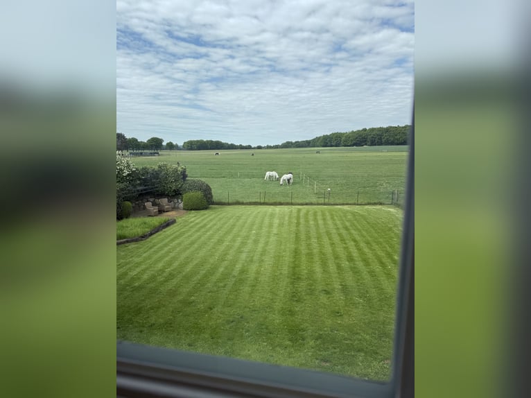 Preissenkung! Landhaus für Pferdeliebhaber mit traumhaftem Blick