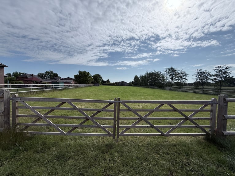 Preissenkung! Landhaus für Pferdeliebhaber mit traumhaftem Blick