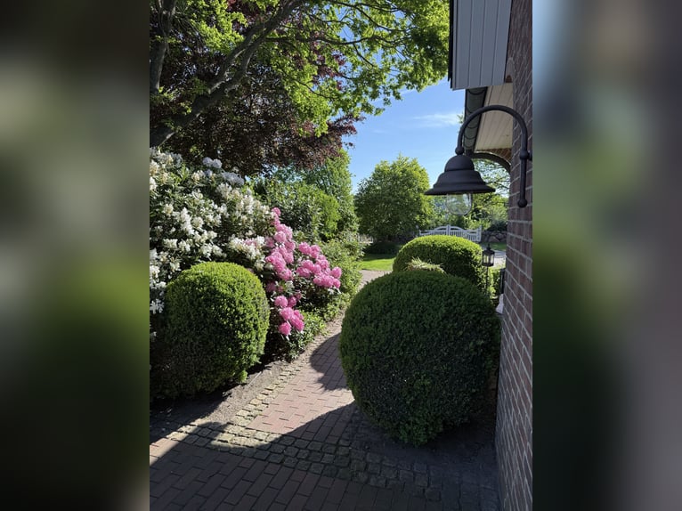 Preissenkung! Landhaus für Pferdeliebhaber mit traumhaftem Blick
