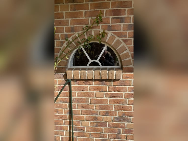 Preissenkung! Landhaus für Pferdeliebhaber mit traumhaftem Blick