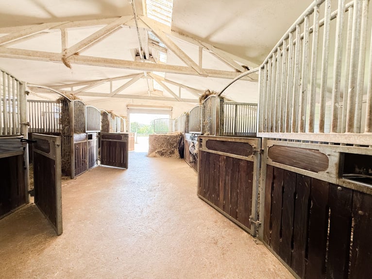 Private Reitanlage mit Panoramaweitblick vor den Toren von Bonn und Koblenz!