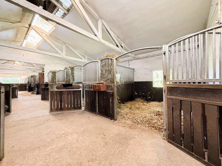 Private Reitanlage mit Panoramaweitblick vor den Toren von Bonn und Koblenz!