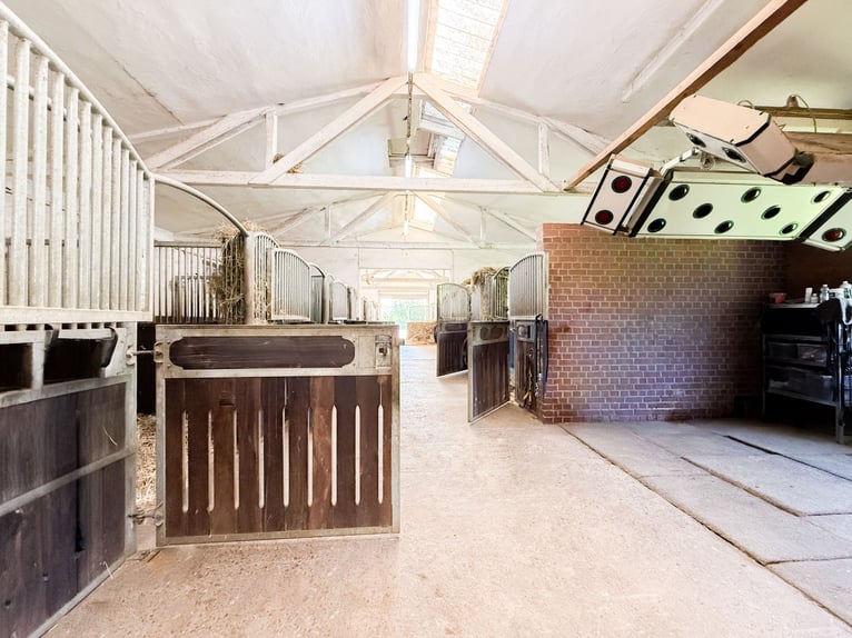 Private Reitanlage mit Panoramaweitblick vor den Toren von Bonn und Koblenz!