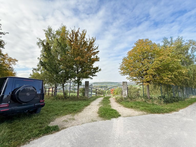 Private Reitanlage mit Panoramaweitblick vor den Toren von Bonn und Koblenz!