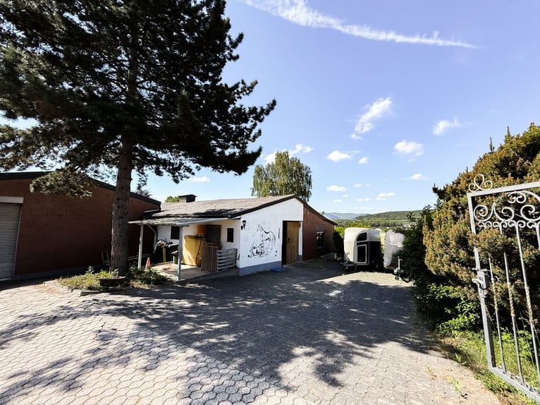 Private Reitanlage mit Panoramaweitblick vor den Toren von Bonn und Koblenz!