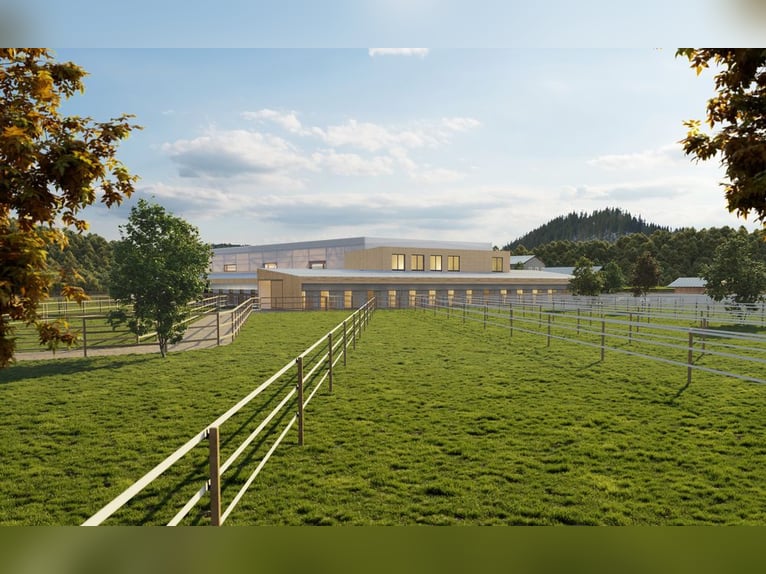Projektentwicklung in Kärnten – Moderne Reitsportanlage mit Aparthotel, Ferien- und Mietwohnungen
